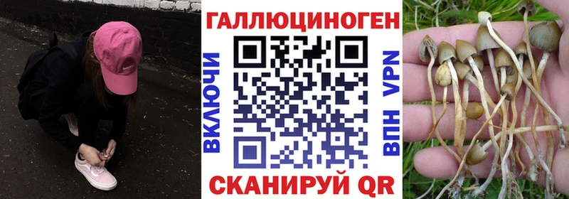 Галлюциногенные грибы MAGIC MUSHROOMS  Кириллов 